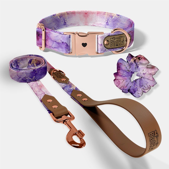 Set EXTRA Violet Vibe