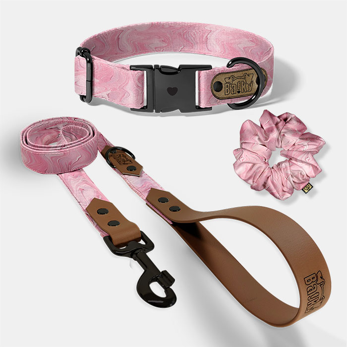 Set pre psa a paničku - obojok, vôdzka a scrunchie