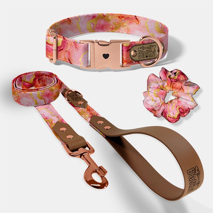 Set pre psa a paničku - obojok, vôdzka a scrunchie