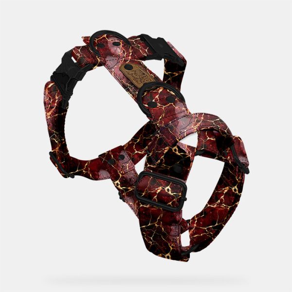 Postroj STRONG Drakarys - Image 2