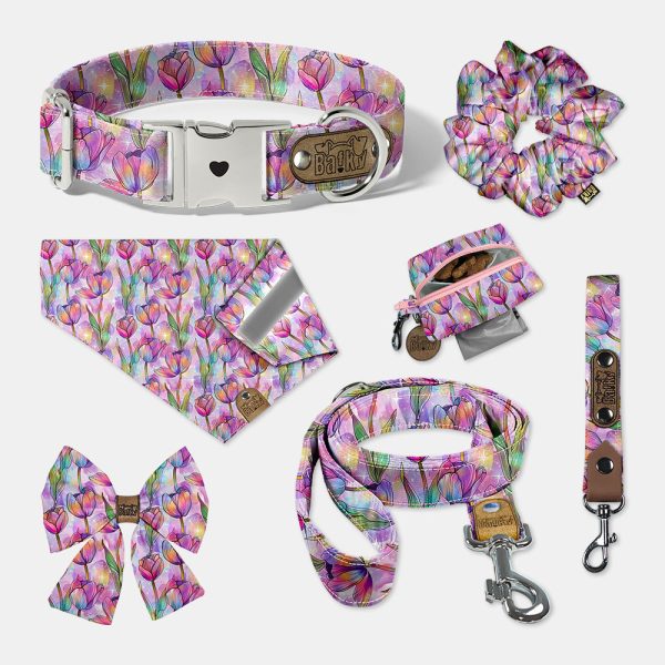 Set VEĽKÝ Tulipány - Image 2