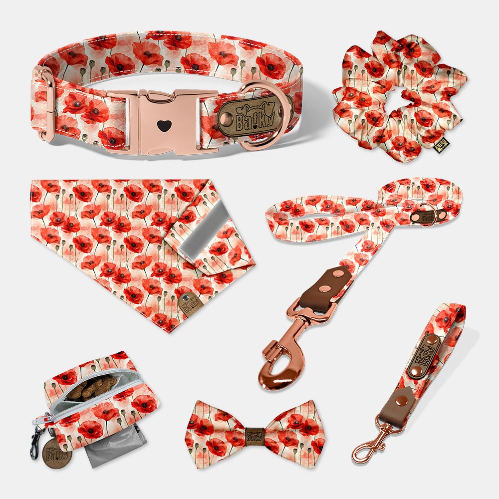 Set - obojok, motýlik, vodítko, vôdzk, šatka na obojok, bobkovník, scrunchie gumička do vlasov