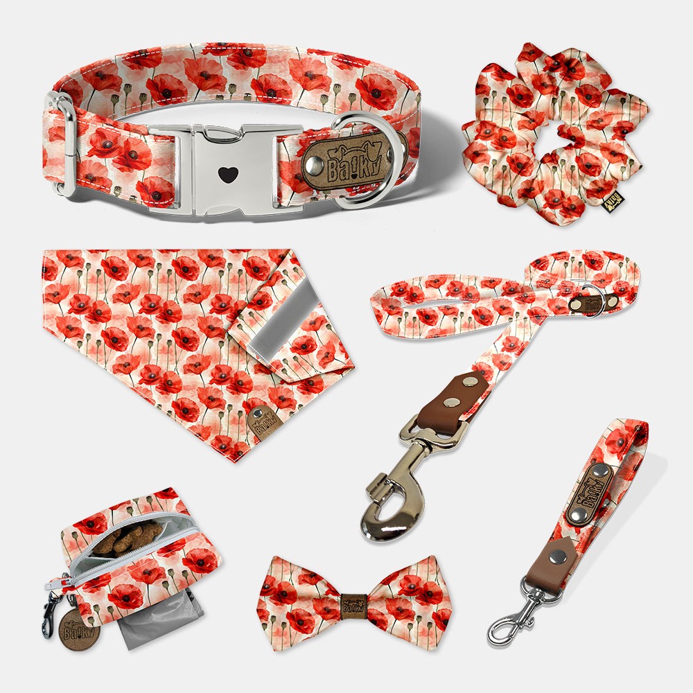 Set - obojok, motýlik, vodítko, vôdzk, šatka na obojok, bobkovník, scrunchie gumička do vlasov
