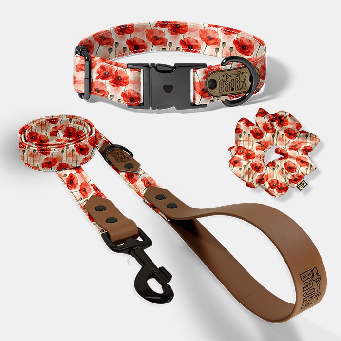 Set pre psa a paničku - obojok, vôdzka a scrunchie