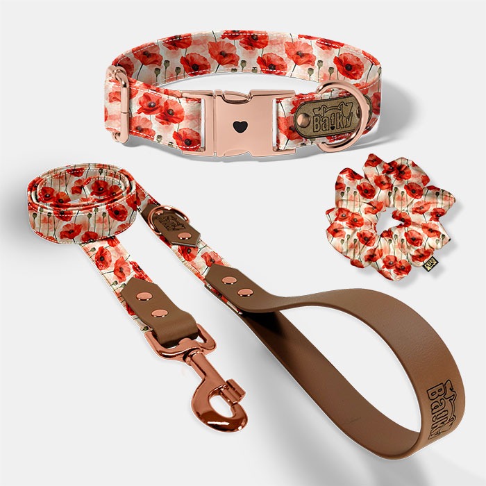 Set pre psa a paničku - obojok, vôdzka a scrunchie