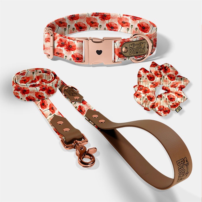 set extra - obojok, vodítko, scrunchie