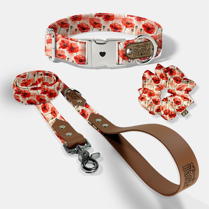 set extra - obojok, vodítko, scrunchie