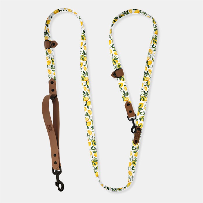 vôdzka freehands, vodítko volné ruky. vodítko s úchytom