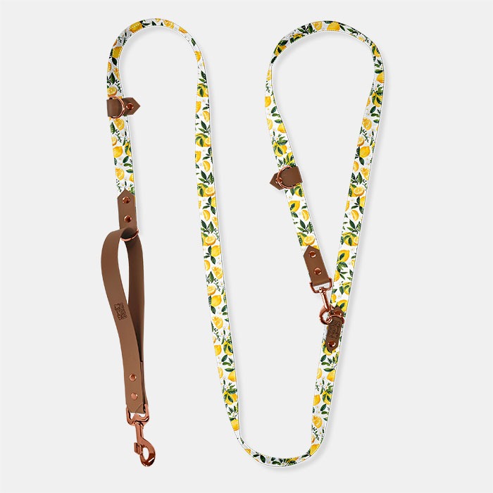 vôdzka freehands, vodítko volné ruky. vodítko s úchytom