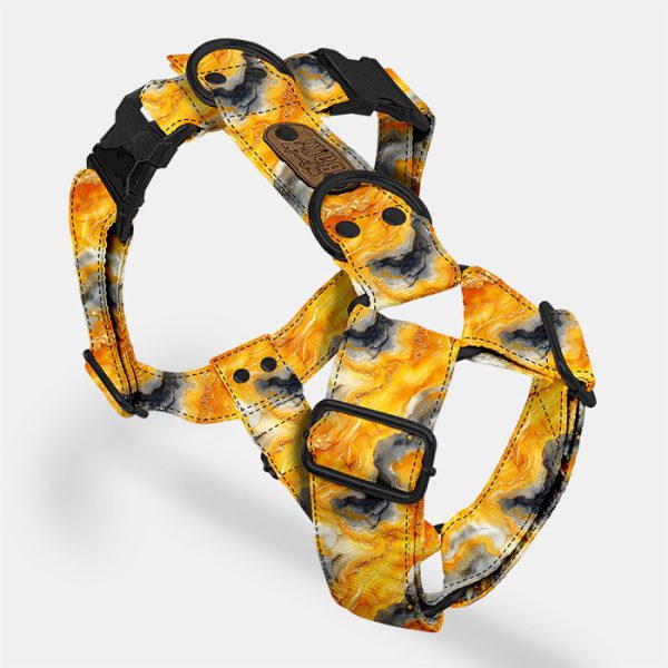 Postroj Bumblebee Jasper - Image 4