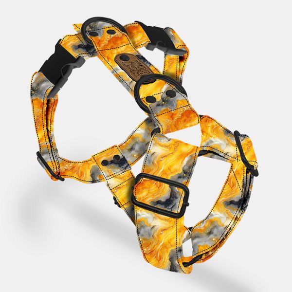 Postroj Bumblebee Jasper - Image 3