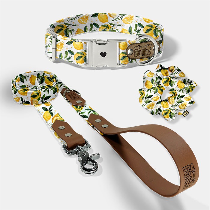 Set EXTRA Lemonella