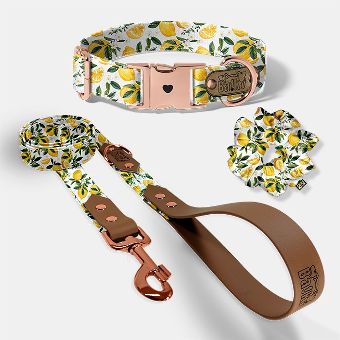 Set pre psa a paničku - obojok, vôdzka a scrunchie