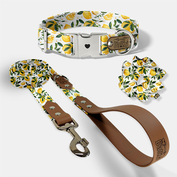 Set pre psa a paničku - obojok, vôdzka a scrunchie