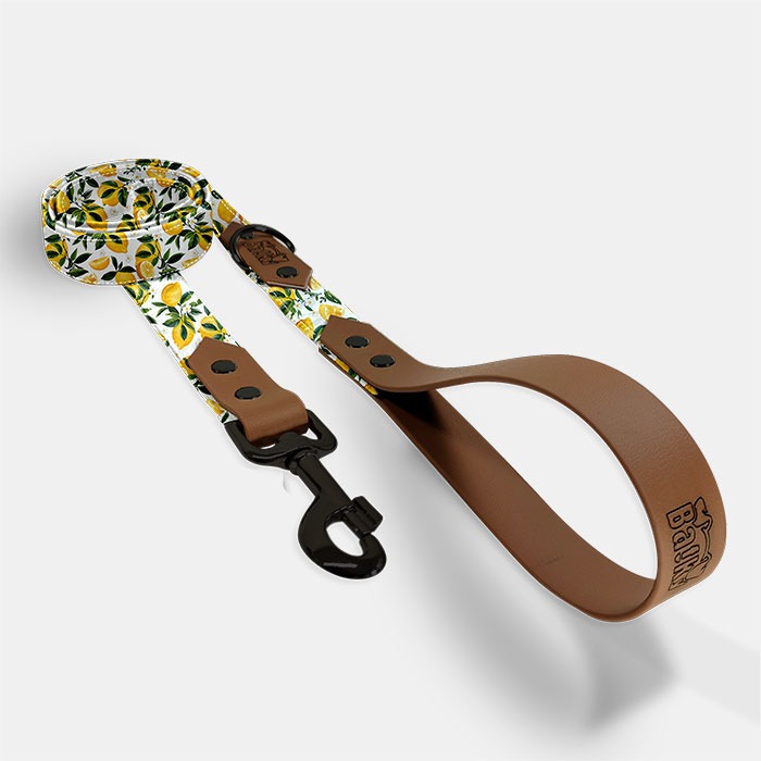 vodítko, vôdzka pre psa 150 cm