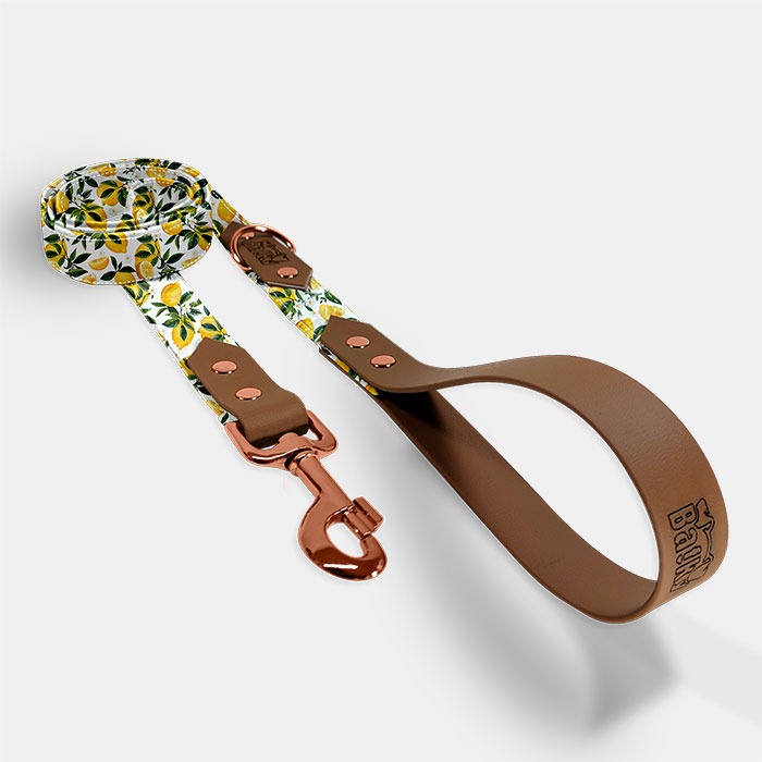 vodítko, vôdzka pre psa 150 cm