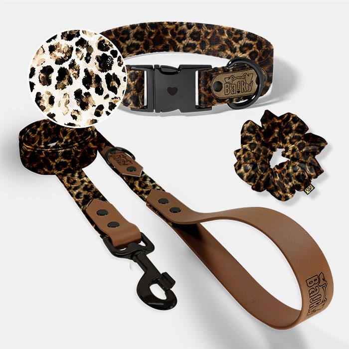 Set pre psa a paničku - obojok, vôdzka a scrunchie