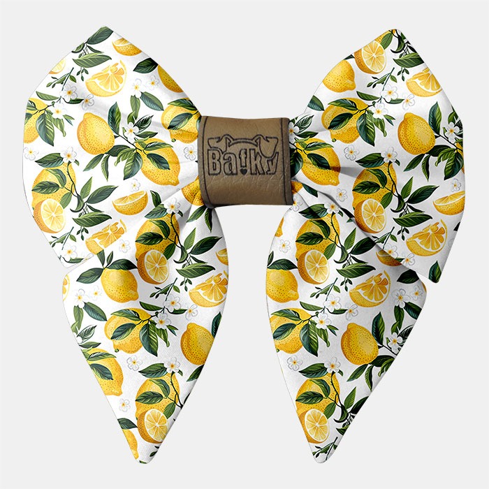 mašla na obojok pre psa