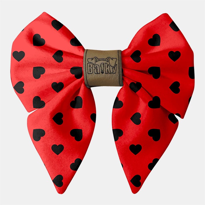 mašla na obojok pre psa