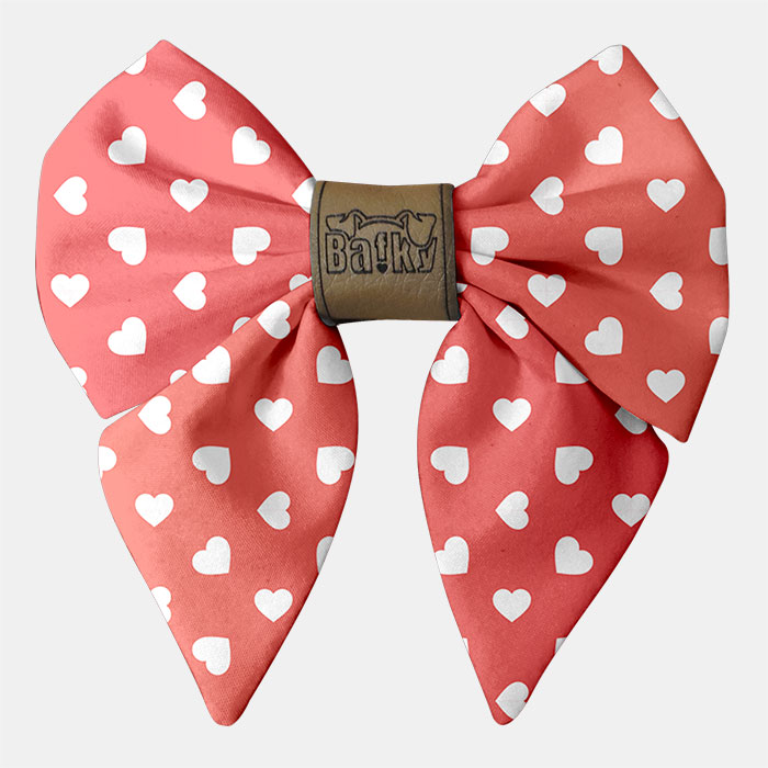 mašla na obojok pre psa