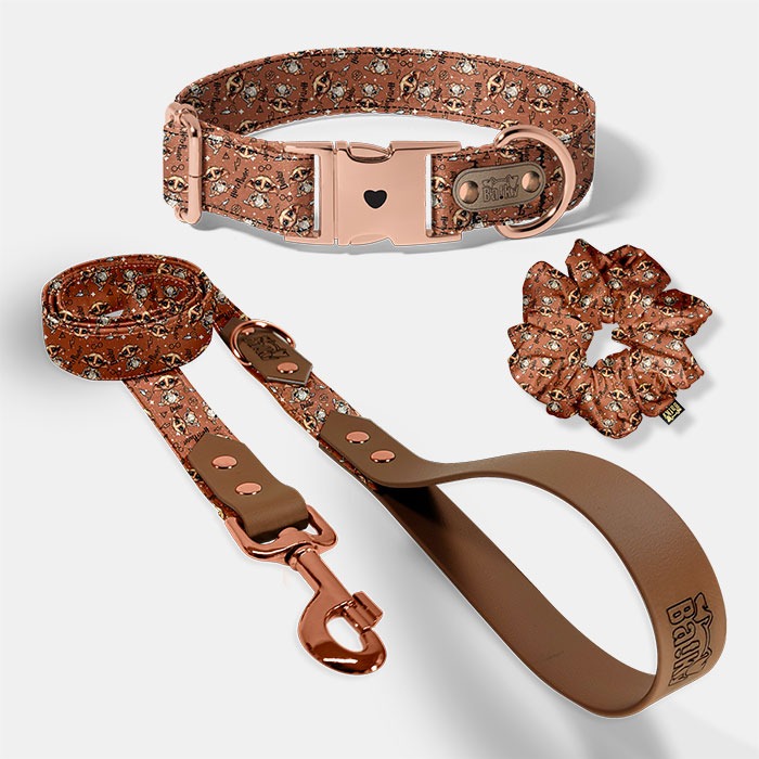 Set pre psa a paničku - obojok, vôdzka a scrunchie