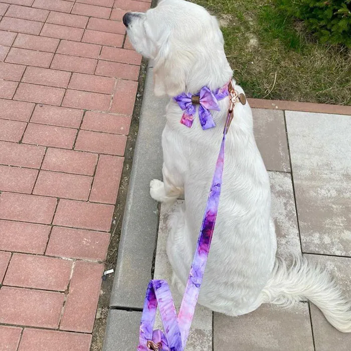 000-BAFKY-chlpaci19_11zon