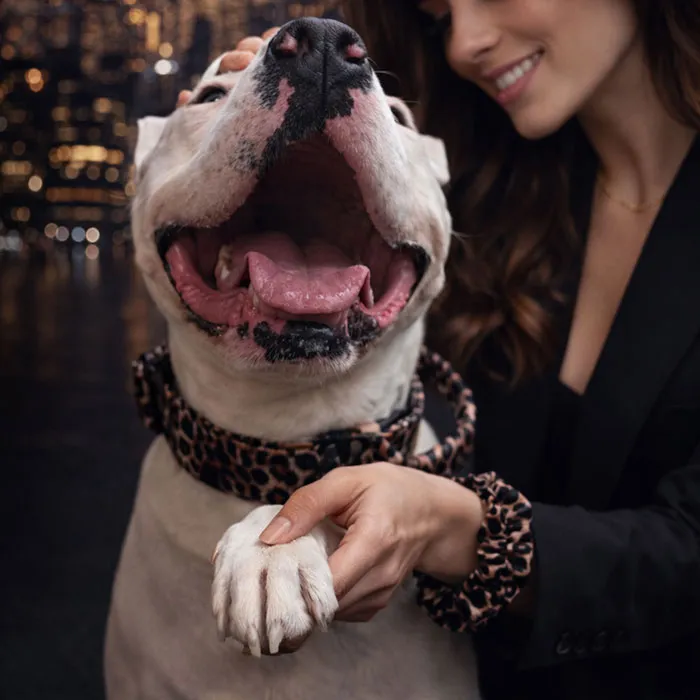 galeria-headpage-13_11zon