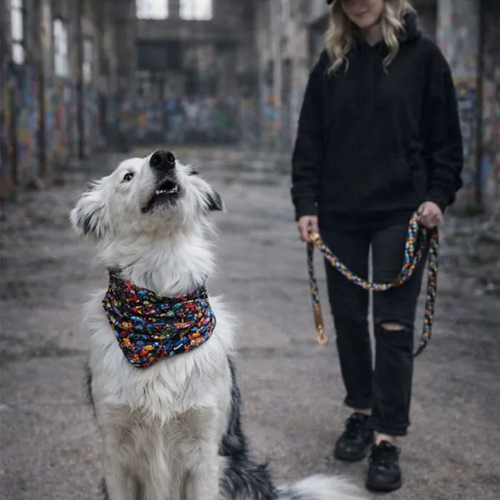 galeria-headpage-14_11zon