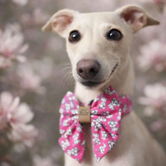 galeria-headpage-15_11zon