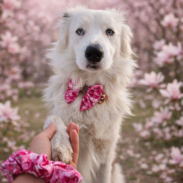 galeria-headpage-16_11zon