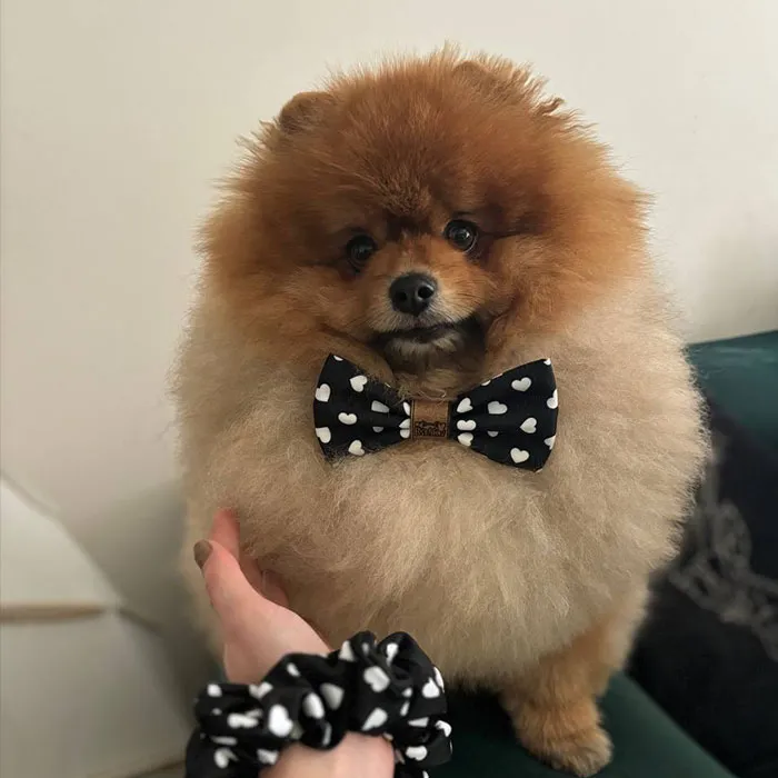 galeria-headpage-22_11zon