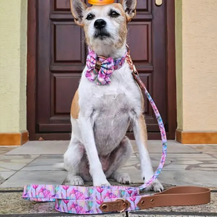 galeria-headpage-4_11zon