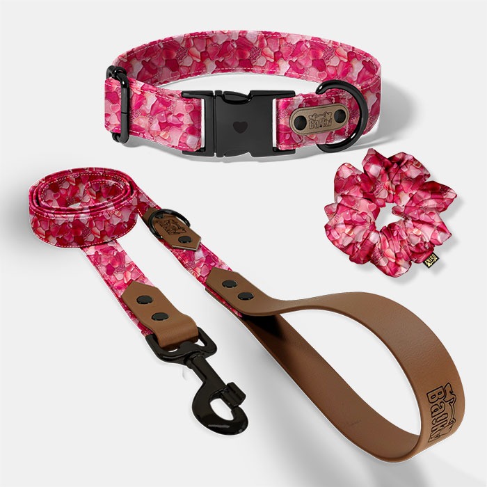 Set pre psa a paničku - obojok, vôdzka a scrunchie