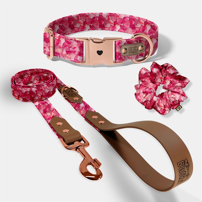 Set pre psa a paničku - obojok, vôdzka a scrunchie