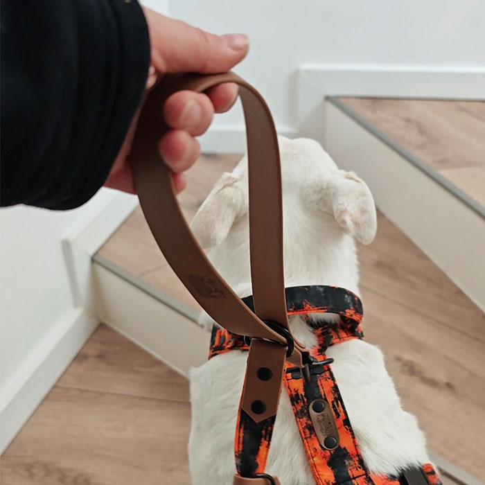 vôdzka freehands, vodítko volné ruky. vodítko s úchytom