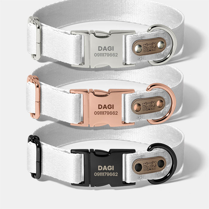 Gravírovanie údajov na obojok