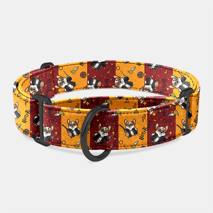 Martingale obojok Harry Pawter