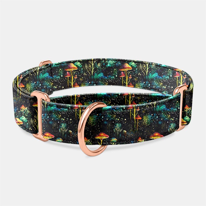 Martingale obojok Čaroles