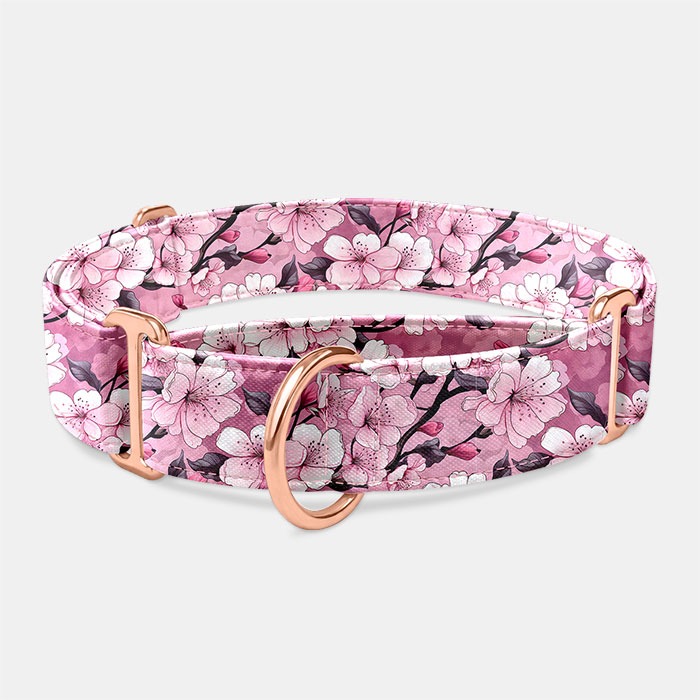 Martingale obojok Čerešňový rozkvet