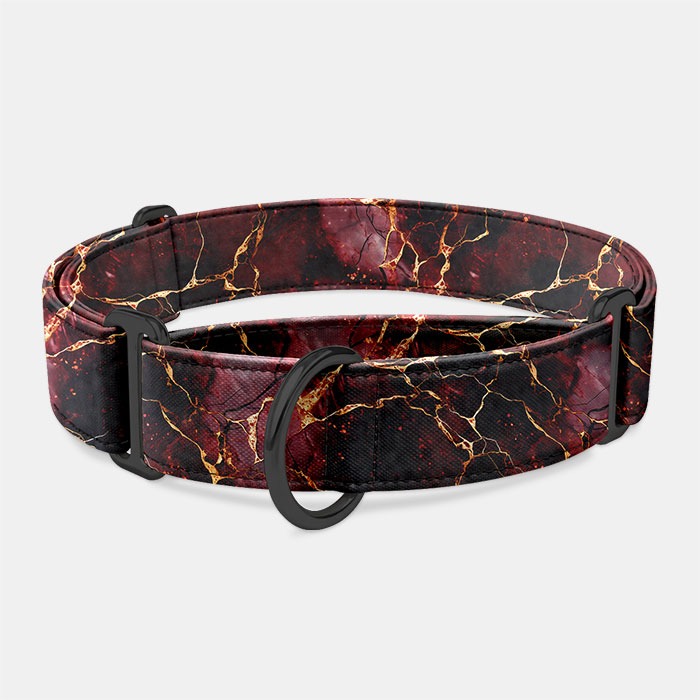 Martingale obojok Drakarys