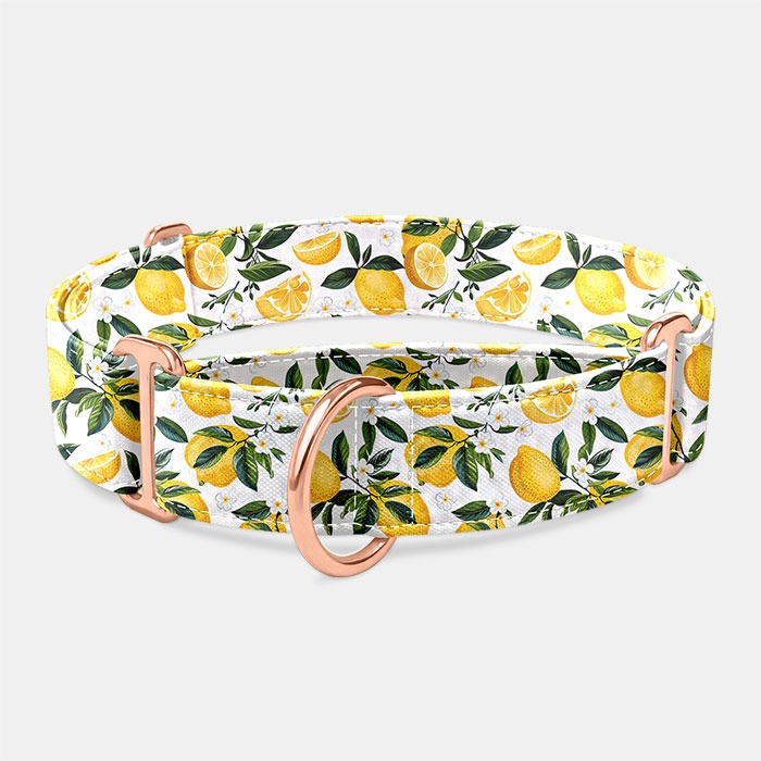 Martingale obojok Lemonella