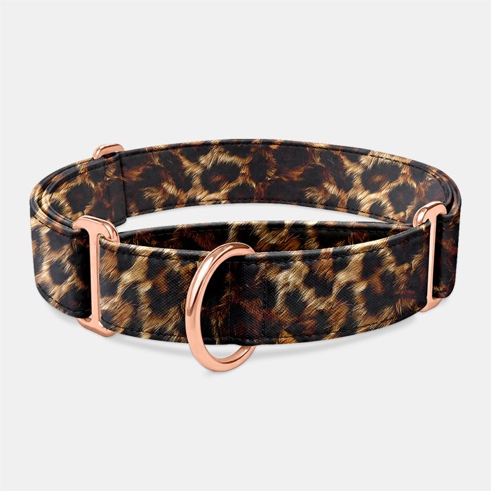 Martingale obojok LeoPaws tmavý