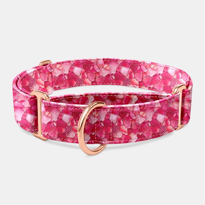 Martingale obojok Magentaya