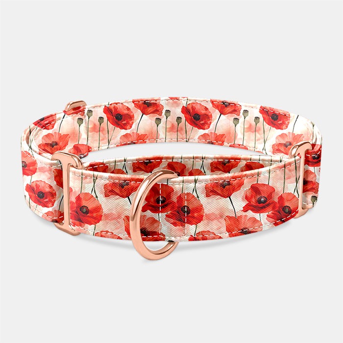 Martingale obojok Poppyland