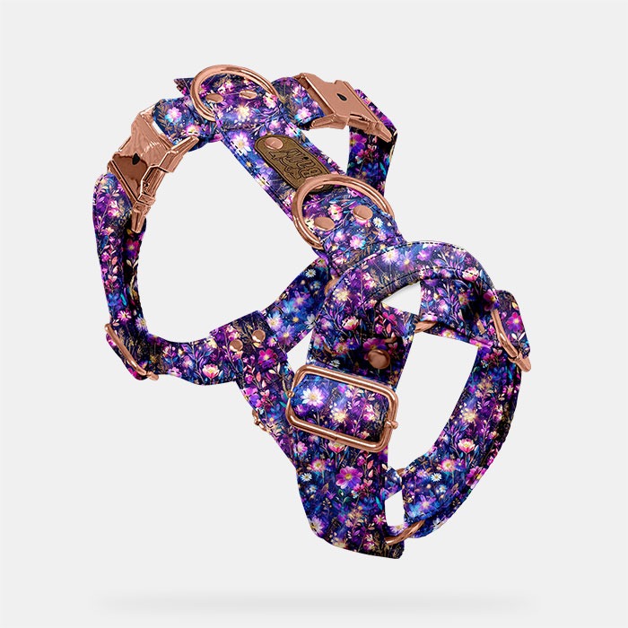 Postroj STRONG Nočná lúka