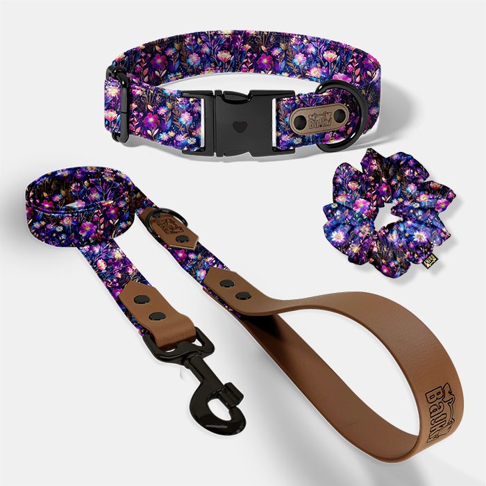 Set pre psa a paničku - obojok, vôdzka a scrunchie