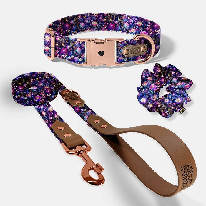 Set pre psa a paničku - obojok, vôdzka a scrunchie