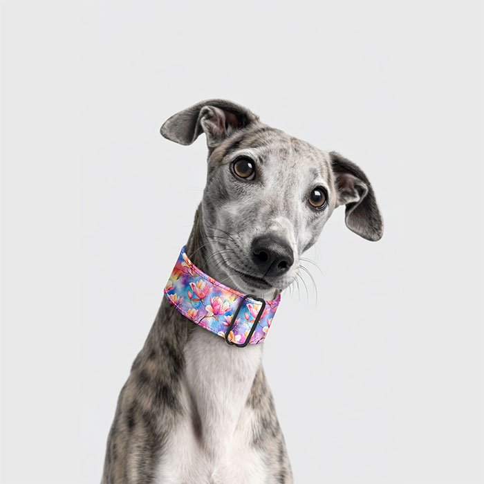 Martingale obojok Magnólie. Polosťahovací obojok Magnólie