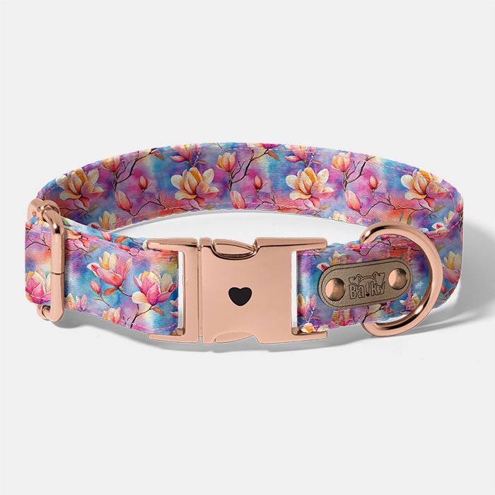 Obojok Magnólie. Obojok s kovovu sponou Magnólie