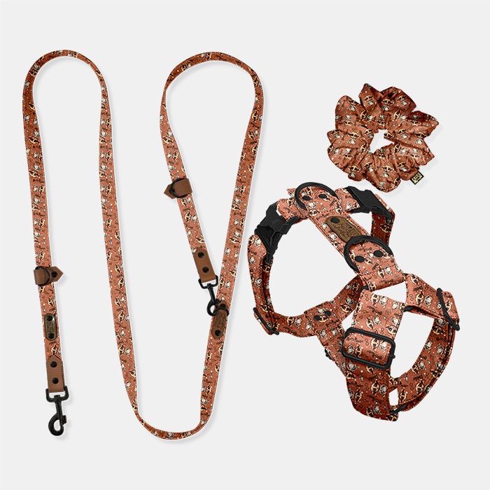 Set Freehands & Postroj Harry Pawter Dobby